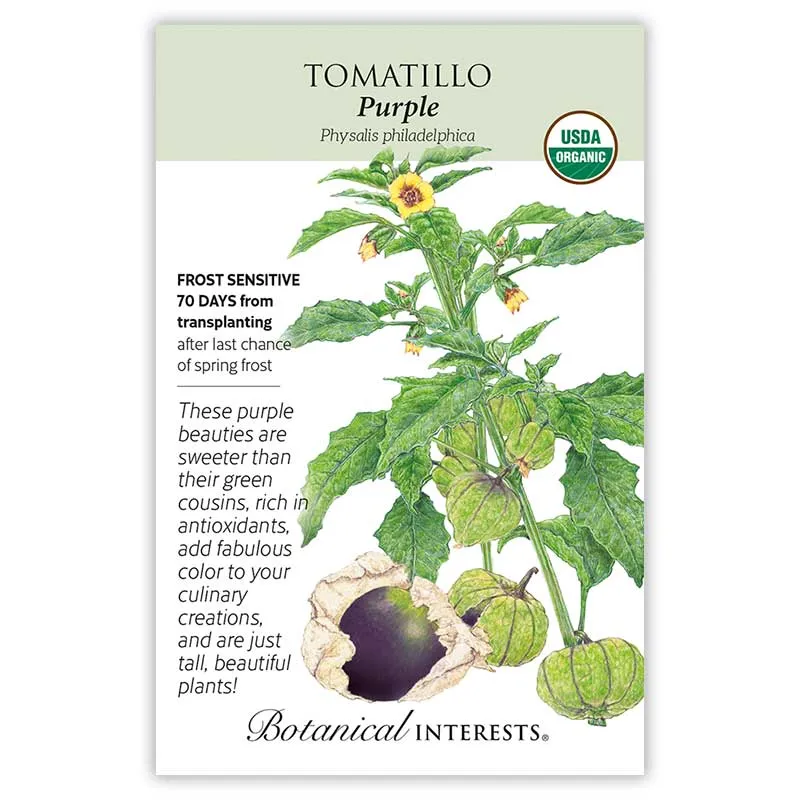 Purple Tomatillo Seeds