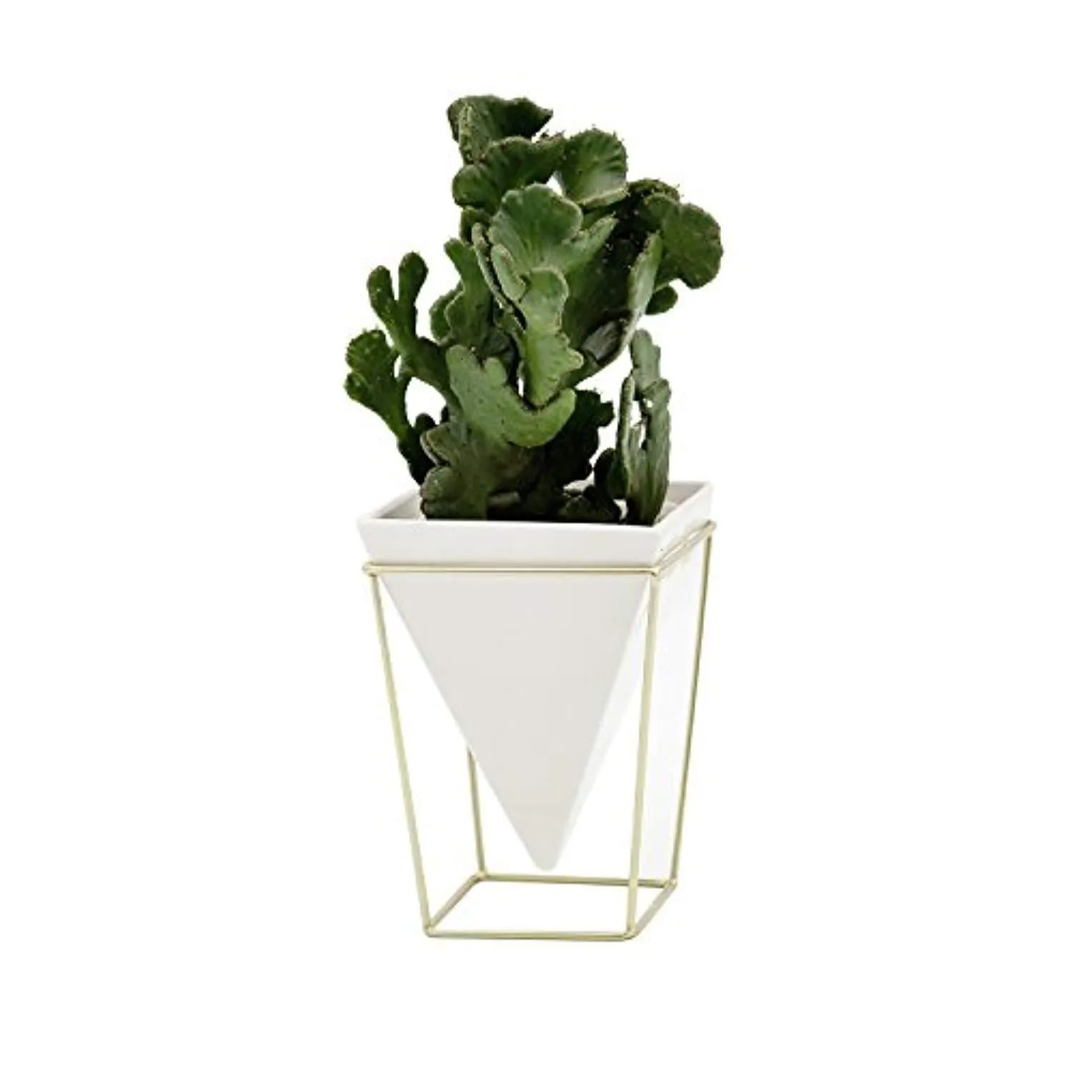 Purzest Modern Indoor Desktop Planter Vase,Ceramic Planter with Metal Stand(White   Gold)
