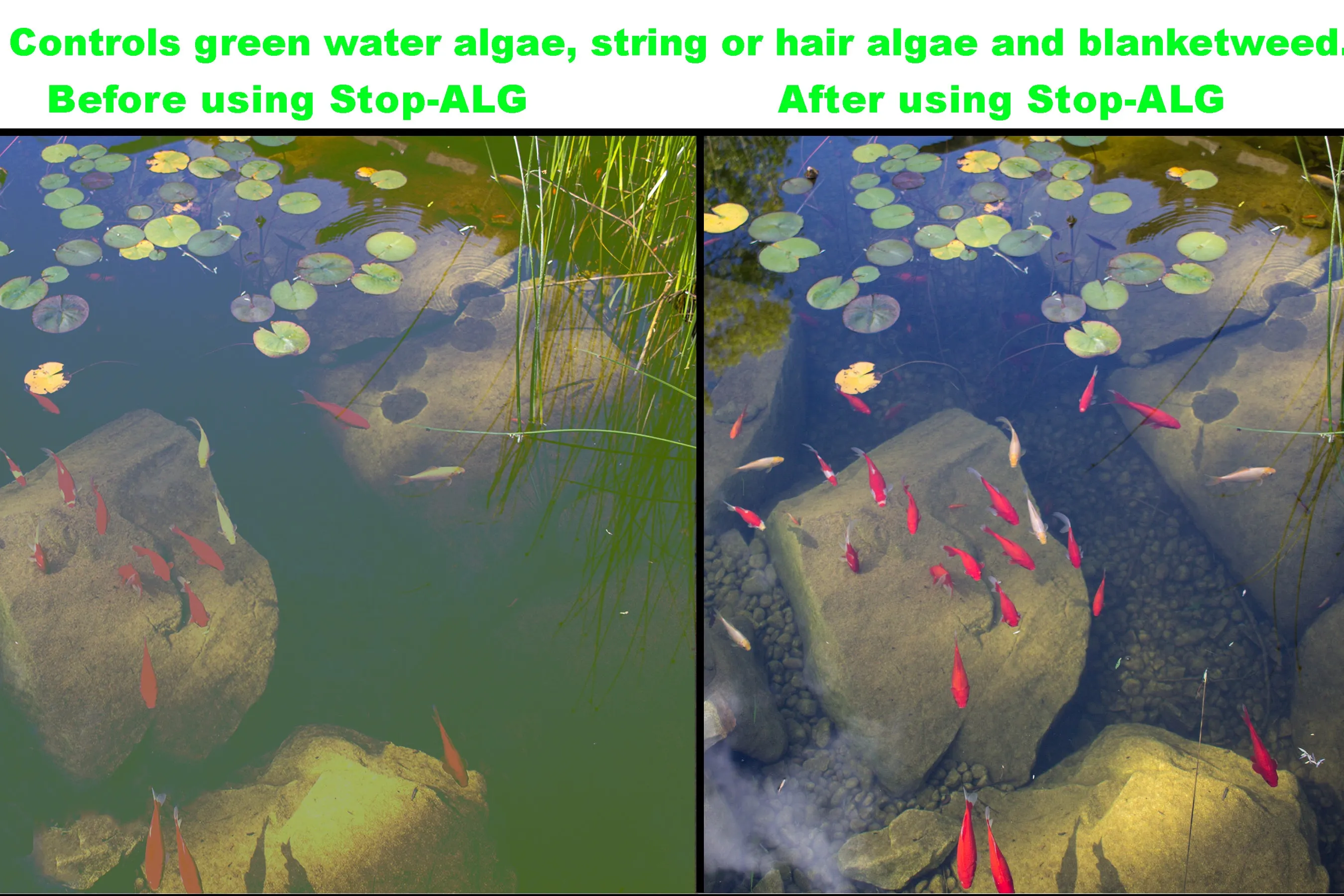 Viagrow 8oz Water Conditioner - Effective and Essential for Aquarium Health (Single Pack)