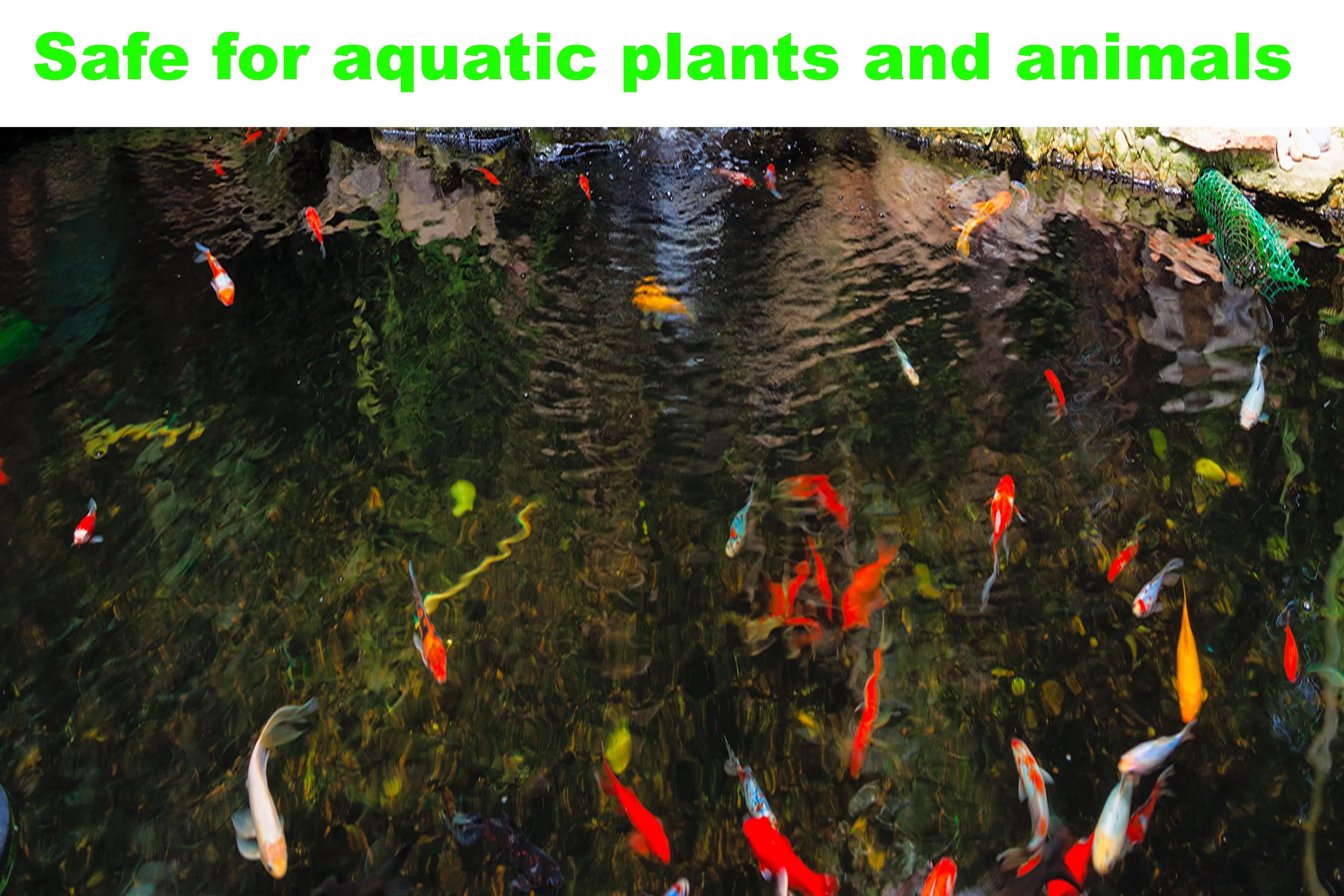 Viagrow 8oz Water Conditioner - Effective and Essential for Aquarium Health (Single Pack)